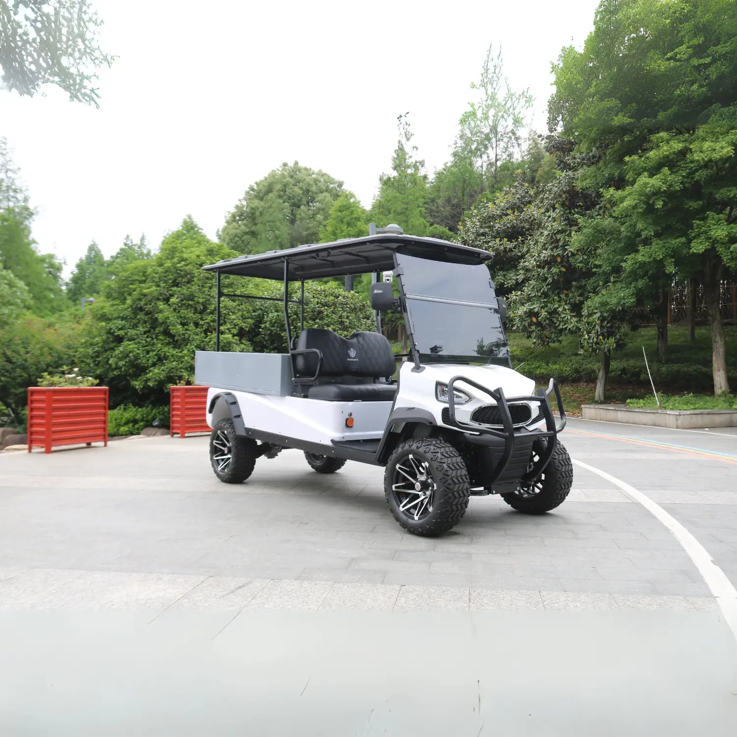 2-Seater Golf Cart with Cargo Box
