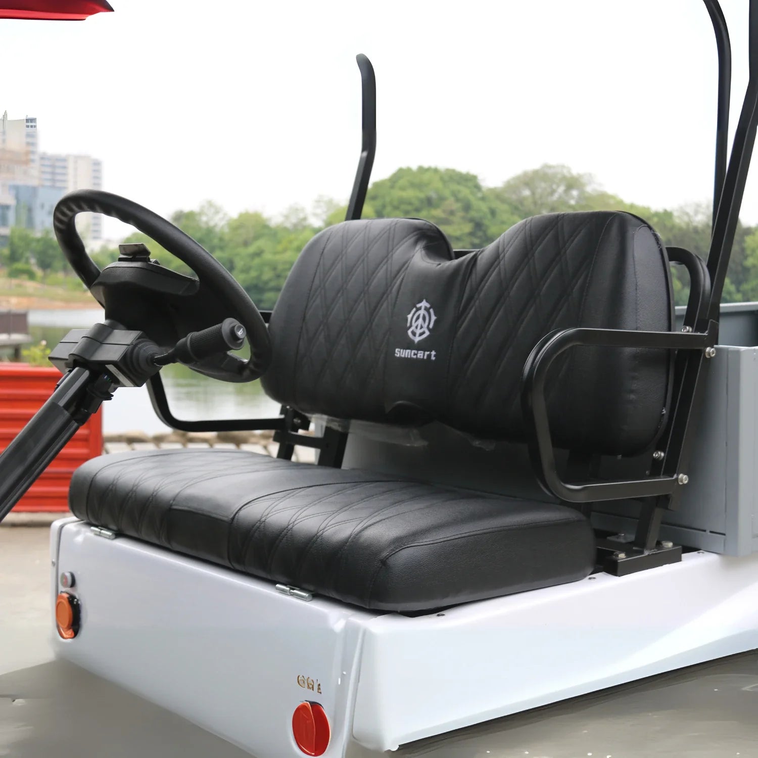 2-Seater Golf Cart with Cargo Box