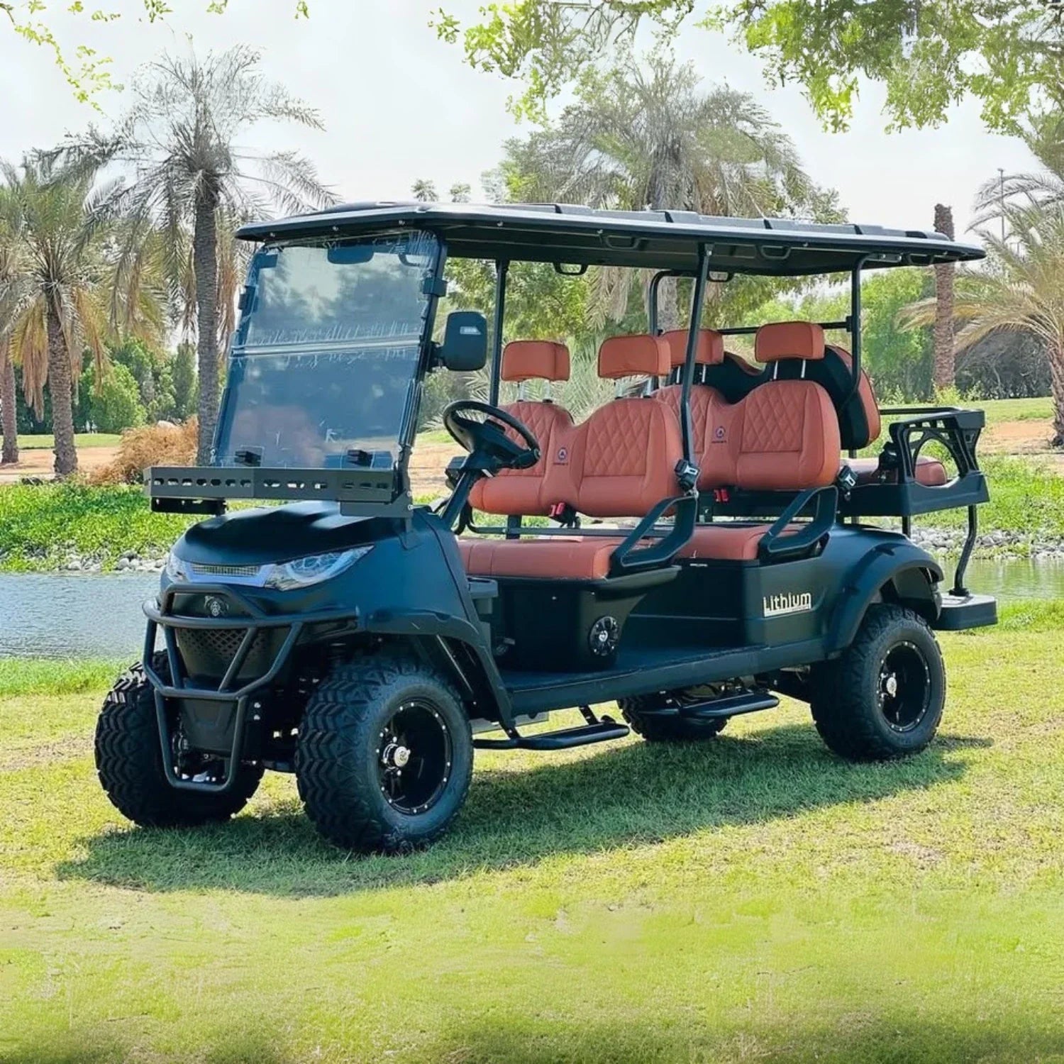 4+2 Seater Golf Cart Collection