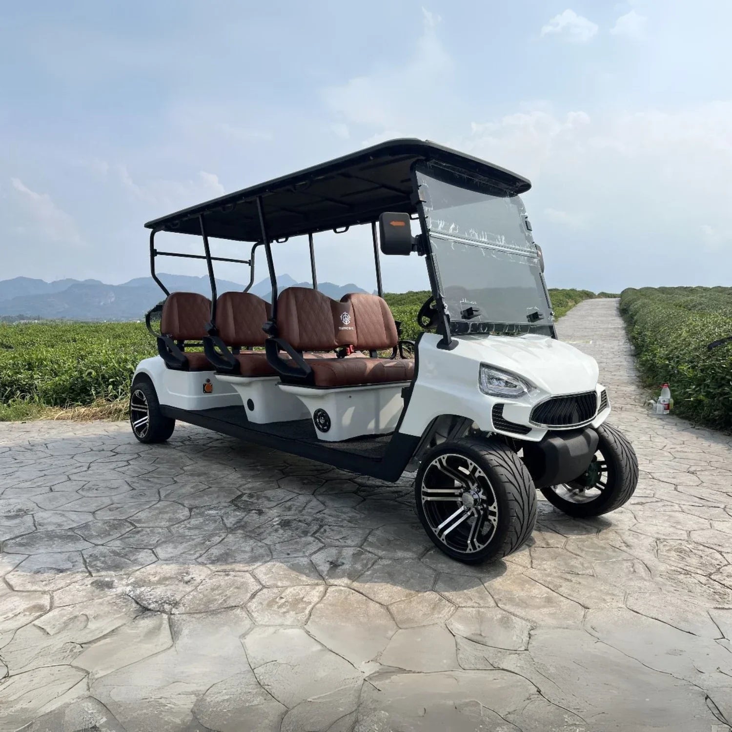 6 Seater Golf Cart Collection