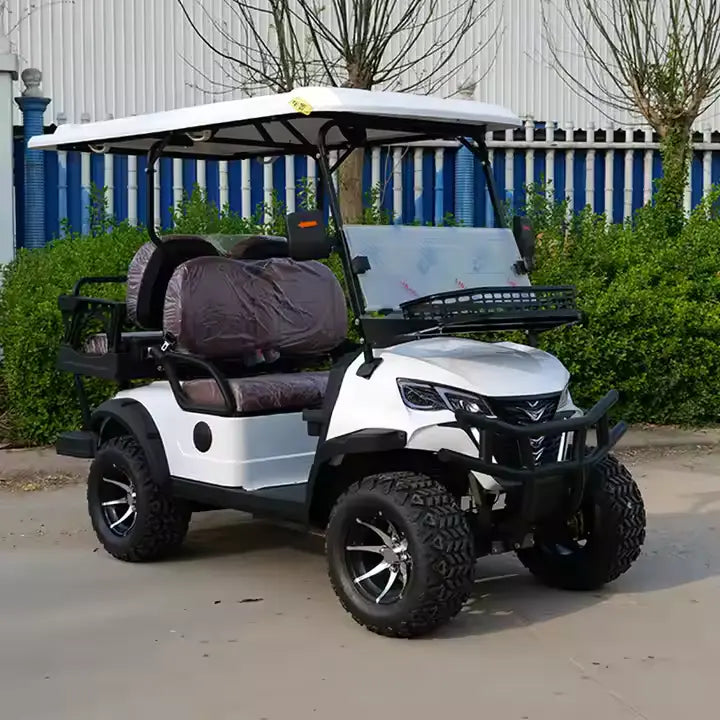 Special Offer Arabian carts