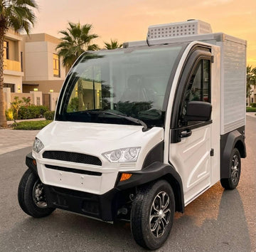 2-Seater Electric Utility Golf Cart with Freezer Box & 600 kg Payload