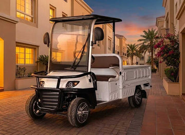 2-Seater Electric Utility Golf Cart with Long Cargo Box