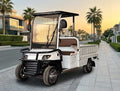 2-Seater Electric Utility Golf Cart with Long Cargo Box 60V - Golf Cart