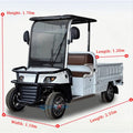 2-Seater Electric Utility Golf Cart with Long Cargo Box