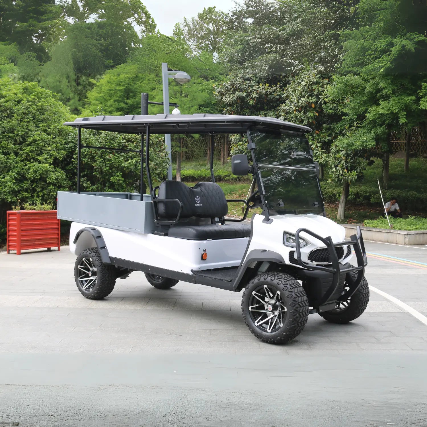 2-Seater Golf Cart with Cargo Box