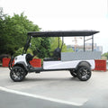 2-Seater Off-Road Utility Golf Cart with Lithium AC Motor