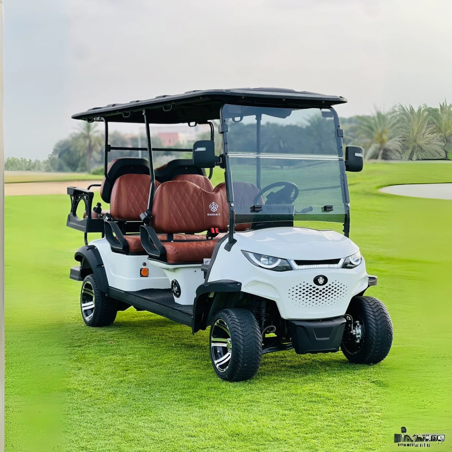 4+2 Golf Cart MXV