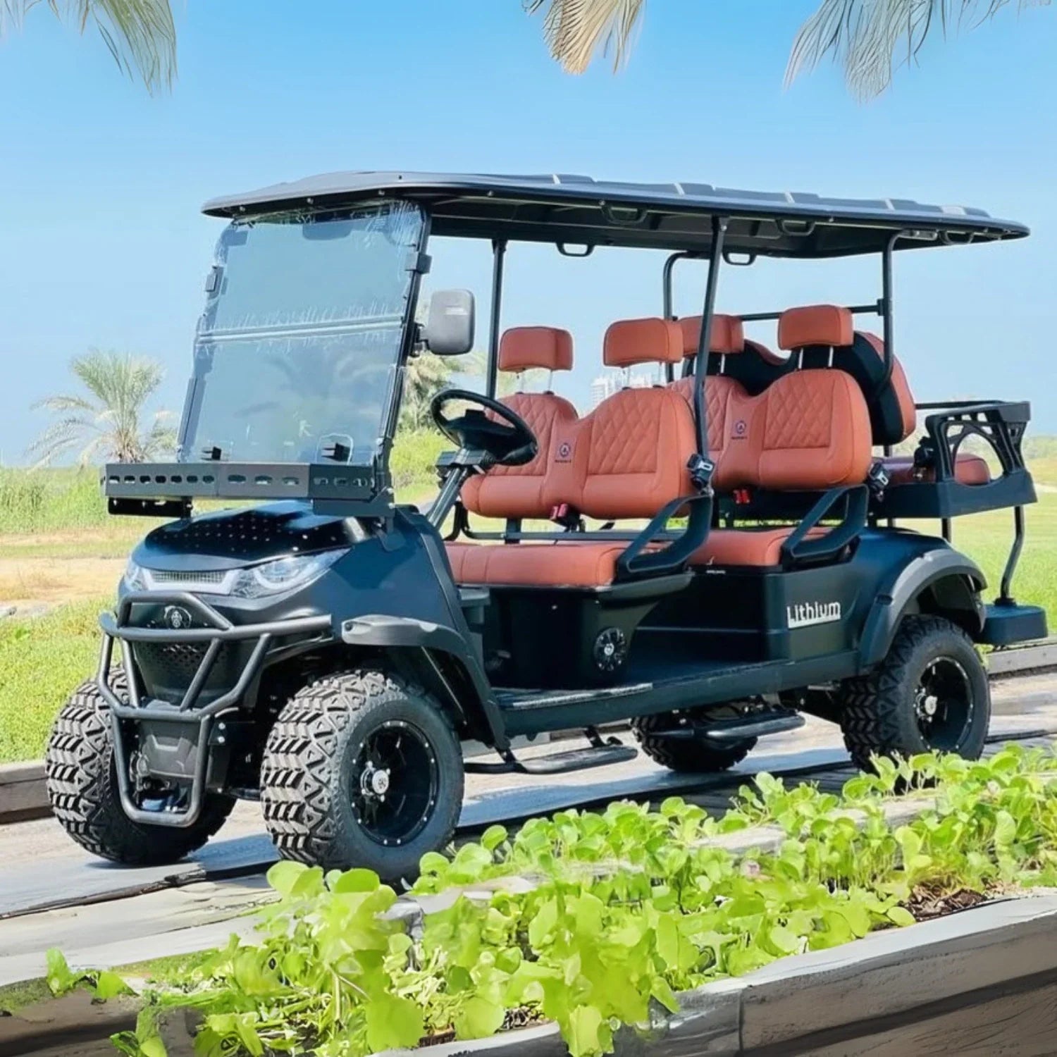 6 Seater Off-Road High Suspension Golf Cart Black