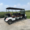 Electric golf cart with brown seats on a stone path with a scenic background