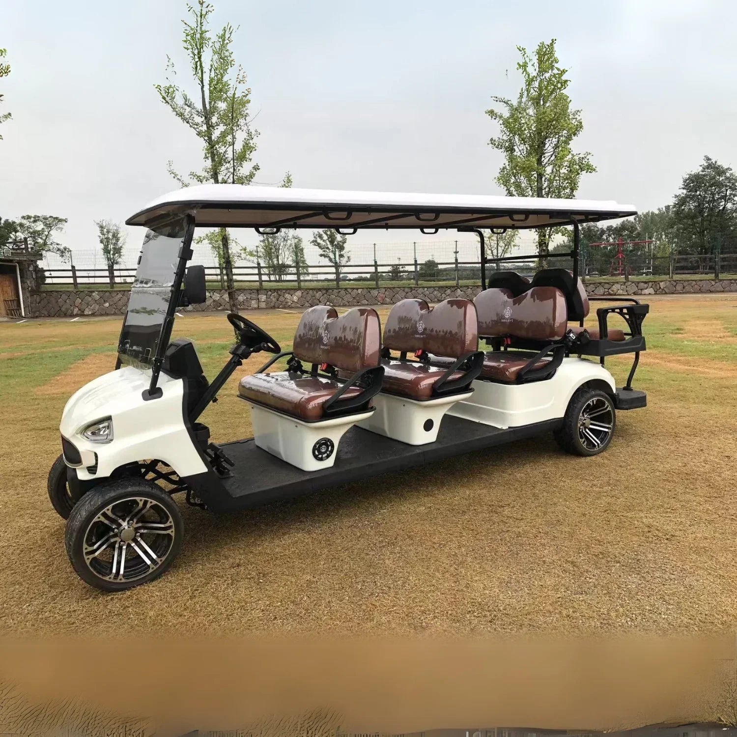 8-Seater On-Road Electric Golf Cart with Lithium Battery - Golf Cart