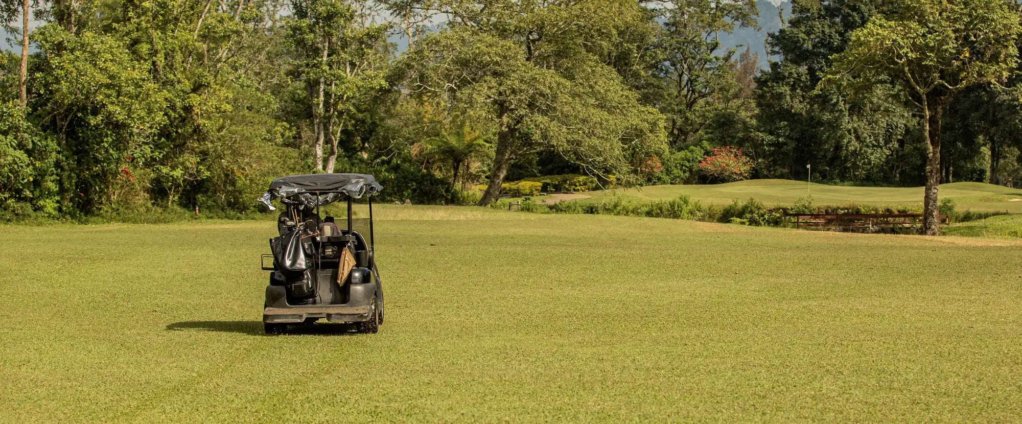 Black golf cart with a canopy and multiple clubs strapped to its rear.