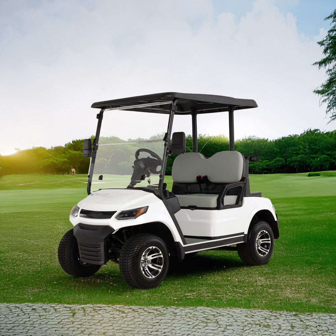 High-Performance 2-Seater Electric Golf Cart with 100km Range - Golf Cart