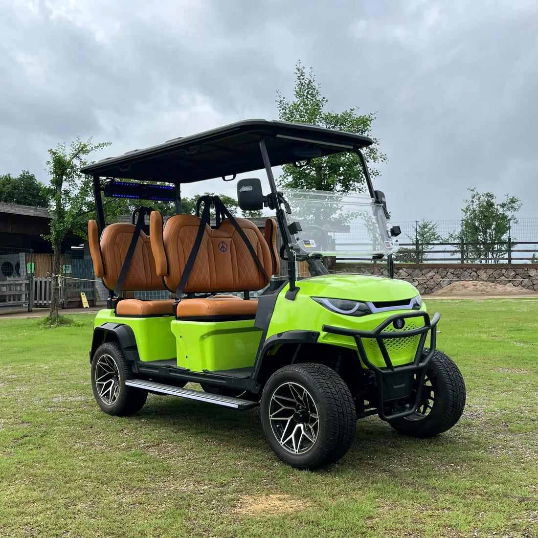Blue golf cart on a grassy area with trees in the background