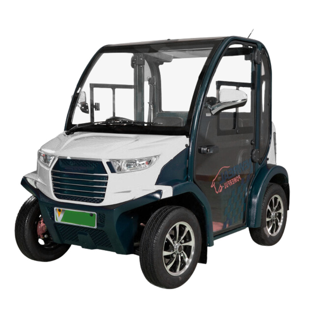 Luxury 2-Seater Electric Golf Cart with Air Conditioning and AC Drive